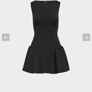 Aritzia Segment Dress